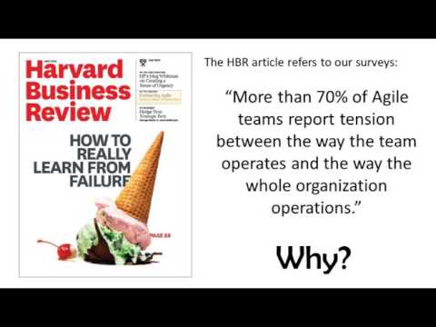 How To Make The Whole Organization Agile r2