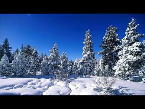 Welchen Jubel, welche Freude   Helmut Glock