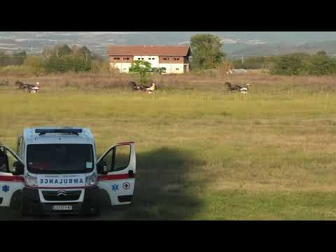 Trka "Kolt Speed" 10.10.2020 Golden - Zoran Živojinović