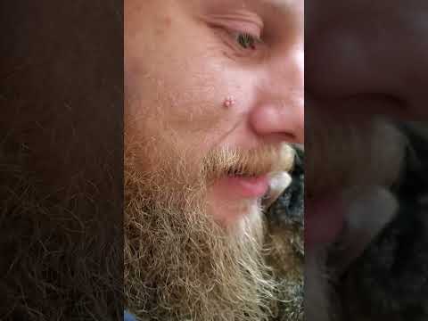 Terry The Cat Says Hi