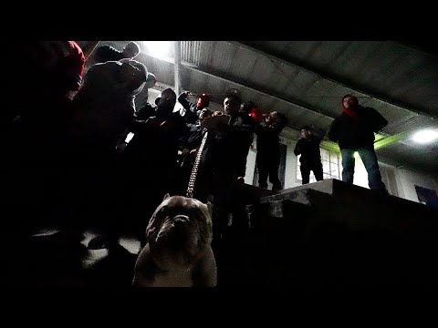 TrackMoney P - Pass The Torch (Exclusive Music Video) Dir:TrackMoney P