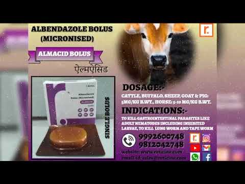 Veterinary Bolus Manufacturer
