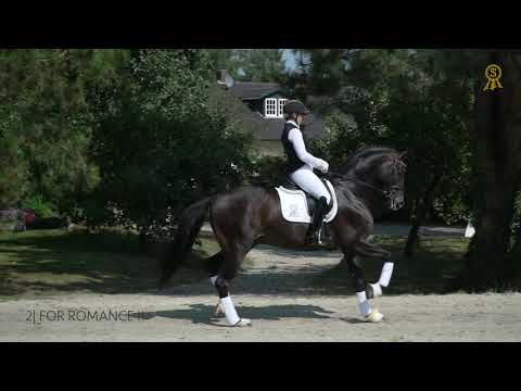 02 For Romance II Deutsch