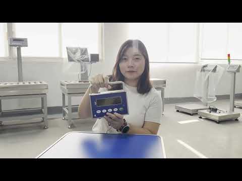 B1S Hanging Scale | Versatile Weighing Solution by weigherps