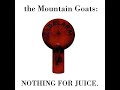The Mountain Goats- It Froze Me (1996)