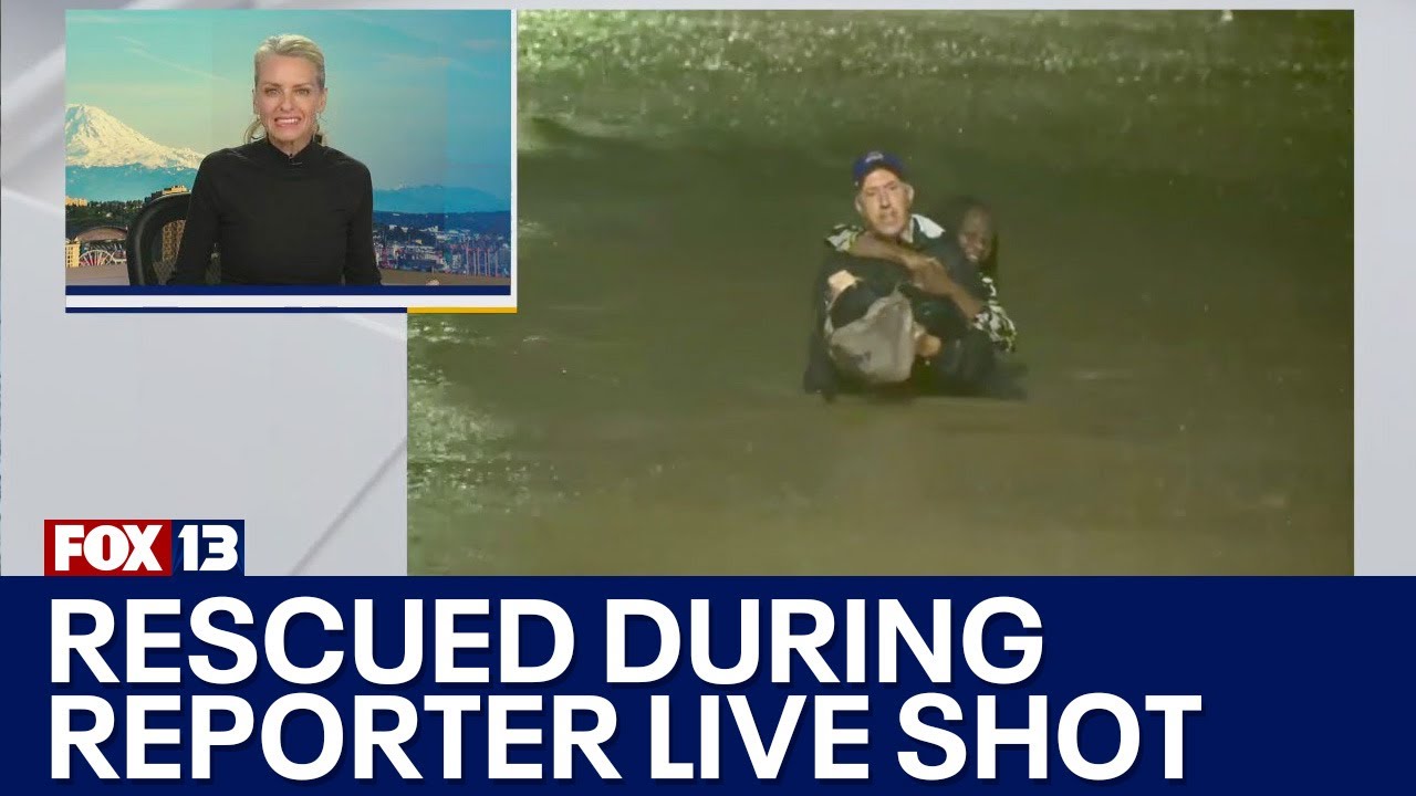WATCH: Weather reporter rescues woman during live shot in GA