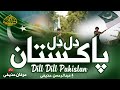 Dil Dil Pakistan Jan Jan Pakistan New Milli Naghma Abdurrahman Huzaifi Latest 14 August Song