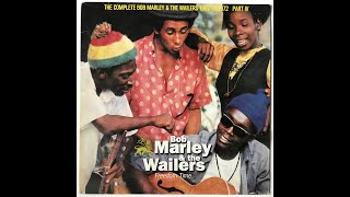 Bob Marley &amp; The Wailers - Lyrical Satirical I [version]