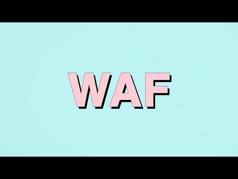 Video thumbnail for Waf