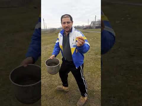 Dinamita de-la Socetu 🤣🤣🤣