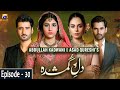 Dil e Gumshuda Episode - 30 | Hina Altaf | Agha Ali | Mirza Zain