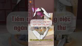 Nấm đông trùng hạ thảo đã có trong trà gạo lứt Quê Việt Plus!!!