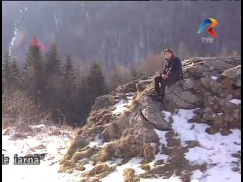 Nichita Stănescu - Visul unei nopți de iarnă (recită actorul Constantin Lupescu)