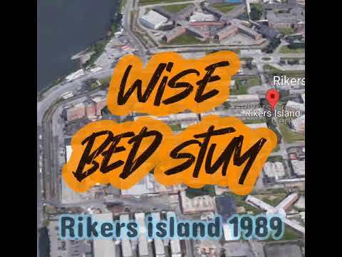 RIKERS ISLAND LEGENDS -🏆- WISE (BED STUY) ASIANS 🇨🇳 🇻🇳 ON RIKERS ISLAND -C-74- 1989- THE TURTLES 🐢
