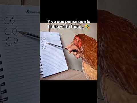 una gallinita muy aplicada. 🐔👓 #memes #funny #gallos #gallinas #aprender #chicken #fyp #fypシ #shorts
