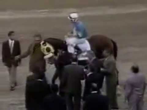 MY OWN BUSINESS Bienvenida luego del Clasico del Caribe 2000...!!!