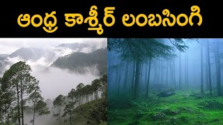 Special Focus On Andhra Kashmir Lambasingi, most Mesmerizing tourist Place in AP | Ntv