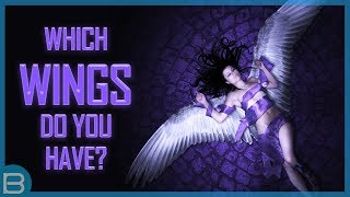 What Type Of Wings Do You Have?