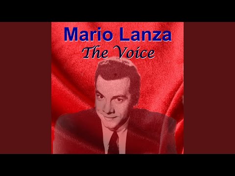 The Loveliest Night of the Year