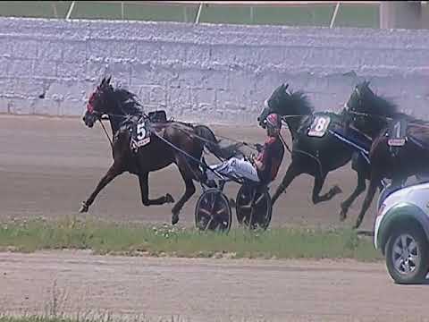 Trotto 13/06/2019 - 2ª corsa