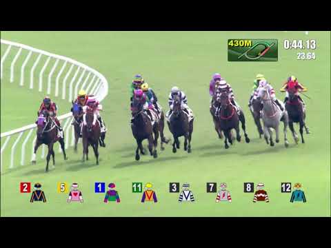 7/11/2021 (152) Snowalot - Z Purton