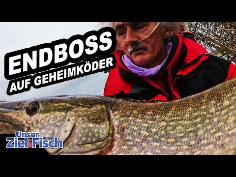 REKORDFISCH für die ANGELSCHULE: JÖRG OVENS mit GEHEIMTRICK auf RAUBFISCH - Unser Ziel ist Fisch