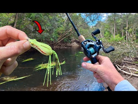 Skipping Frogs For BIG Bass!