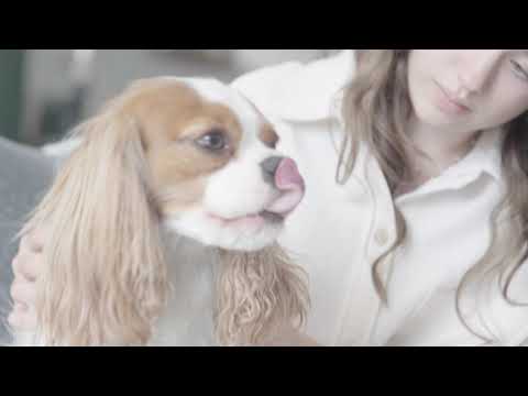 Securité Alimentaire