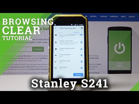 How to Clear the Browser on Stanley S241 - Delete Cookies / History / Wipe Cache