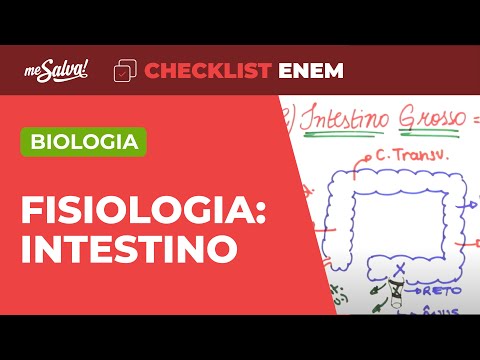 Fisiologia: Sistema Digestório - Biologia | Checklist ENEM | Me Salva!