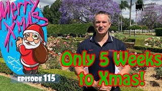 Ep115. Only 5 Weeks To Xmas | by Brendan Homan Properties