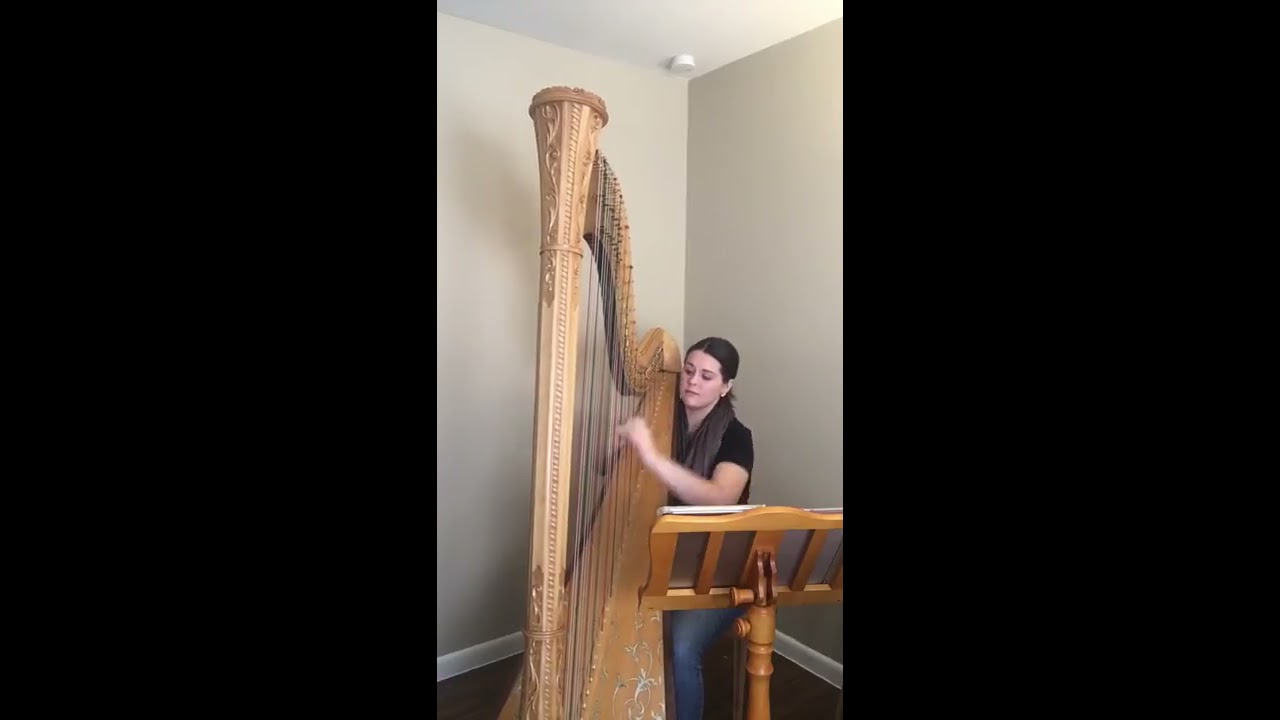 Promotional video thumbnail 3 for Sonja Westberg, harpist