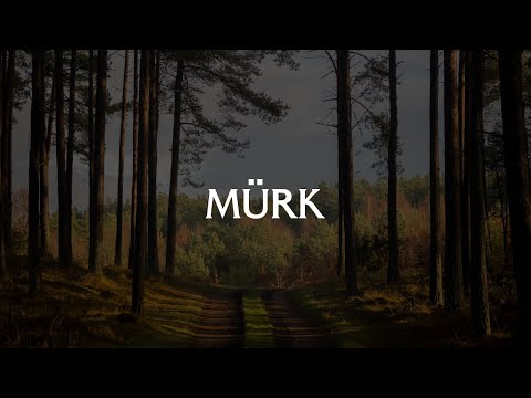 Cärolin – Mürk 「 Bass Boosted‌ 」