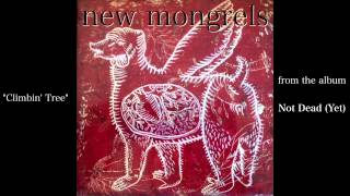 New Mongrels -- "Climbing Tree" -- from Not Dead (Yet)