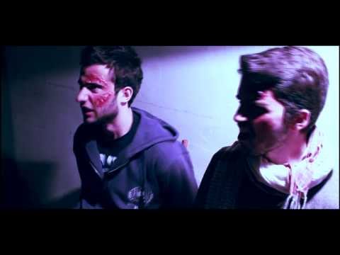 A caval Donato non si guarda in bocca