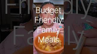 Family Meals on a Budget Papas con Carne/Meat Stew #familymeals #quickmeals #budgetfriendly #dinner