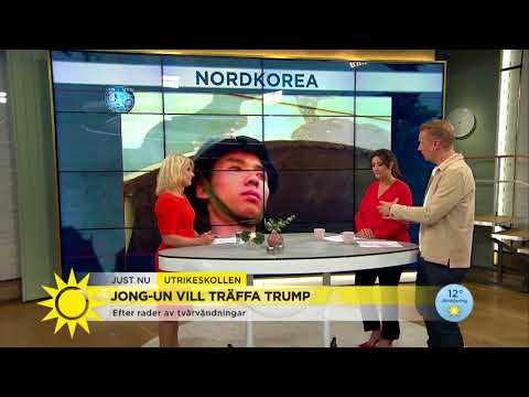 Mötet mellan Trump och Kim Jong-Un: ”Han skulle inte tveka att ställa in igen” - Nyhetsmorgon (TV4)