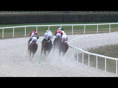 2018.11.18. 07. futam - KINCSEM PARK DÍJA (I.kat.) (szintetikus pálya)