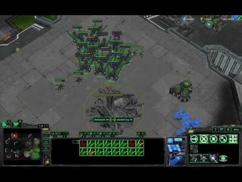 Mass Carriers vs Mass Ravens - Masters TvP - Starcraft 2 LotV