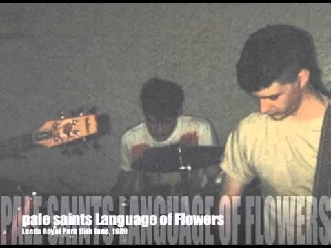 pale saints language of flowers