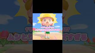 ムシが寄ってきてくれる、なんて素晴らしいの…？！？！#あつ森 #どうぶつの森 #あつまれどうぶつの森 #shortvideo #shorts #short #1マスしか動けない