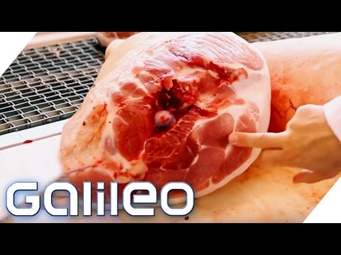 The secret recipe for Parma ham | Galileo | ProSieben