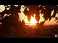 Bernward Koch - Warm Fall Sun