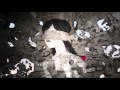 Serj Tankian - Occupied Tears (OFFICIAL VIDEO)