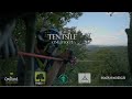 100m Zipline Across woodland- Tentsile Cini-Vlog 2 Canopy climbing collective