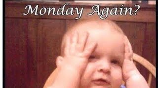Monday Morning funny quotes | Monday Good morning Whatsapp status video| Happy Monday morning