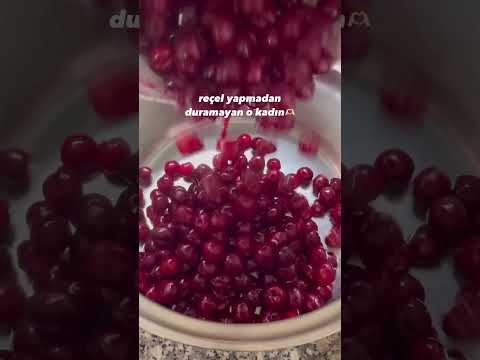 Video thumbnail: Reçeli i bredhit, ëmbëlsira e freskët e natyrës