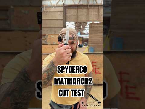 Spyderco Matriarch C12SBK2 Folding Knife Review | OsoGrandeKnives