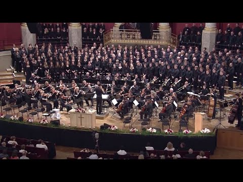 Siempre un rayo de esperanza