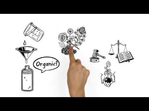 Weleda Cos Desodorante Roll-On Citrus dezodorantas video